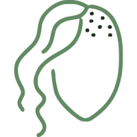04-HairWomen